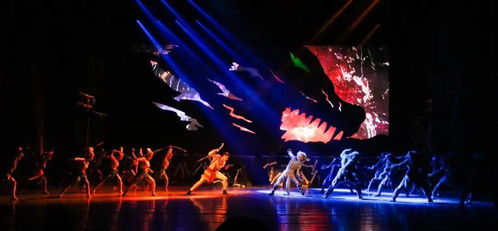 《巖石上的太陽》 舞臺藝術(shù)造型策劃如何點亮紅色文旅新篇章