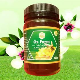 Berringa保健食品加盟 開啟健康產業新機遇